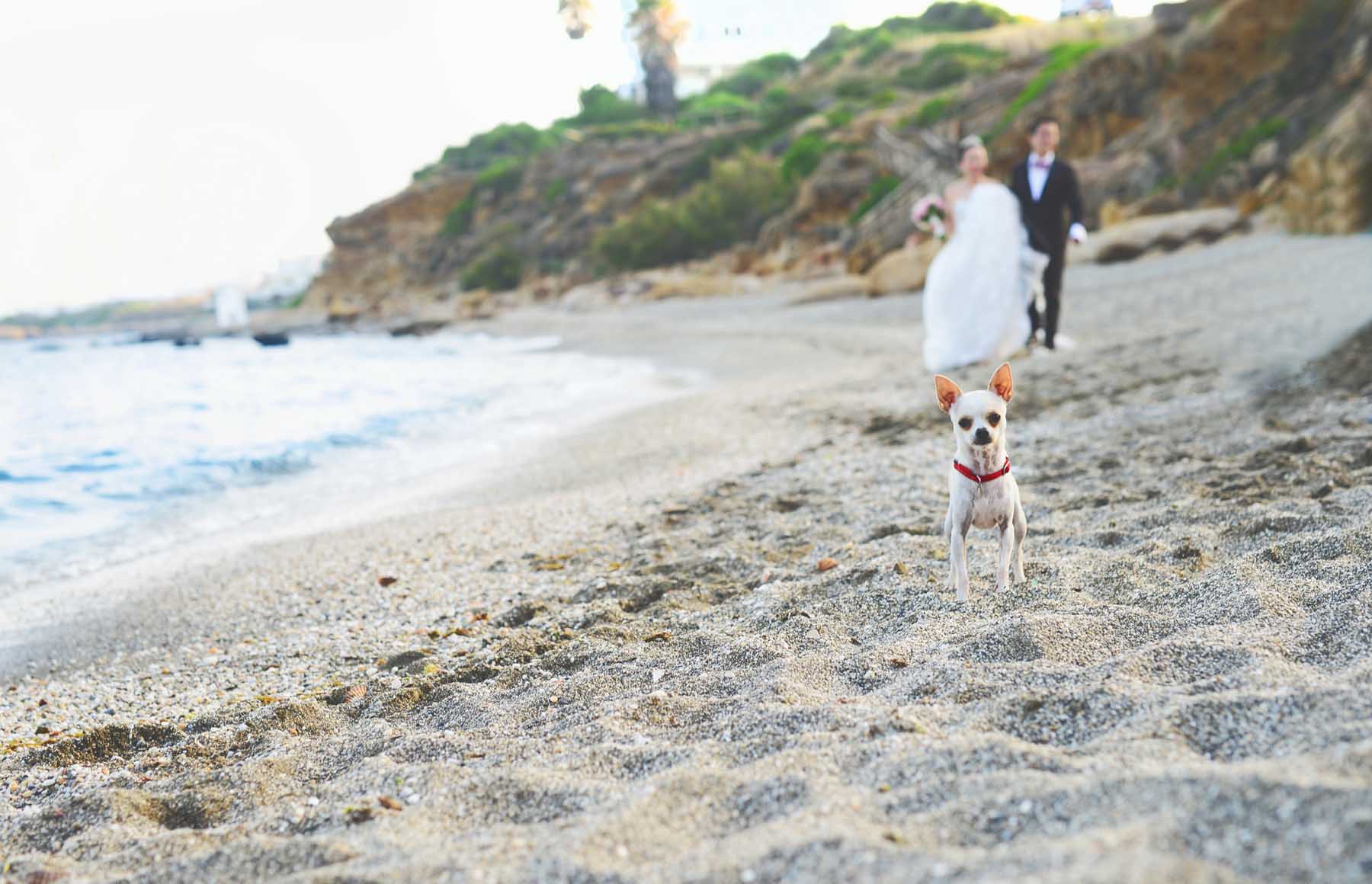 bodas en playa fotografos estepona